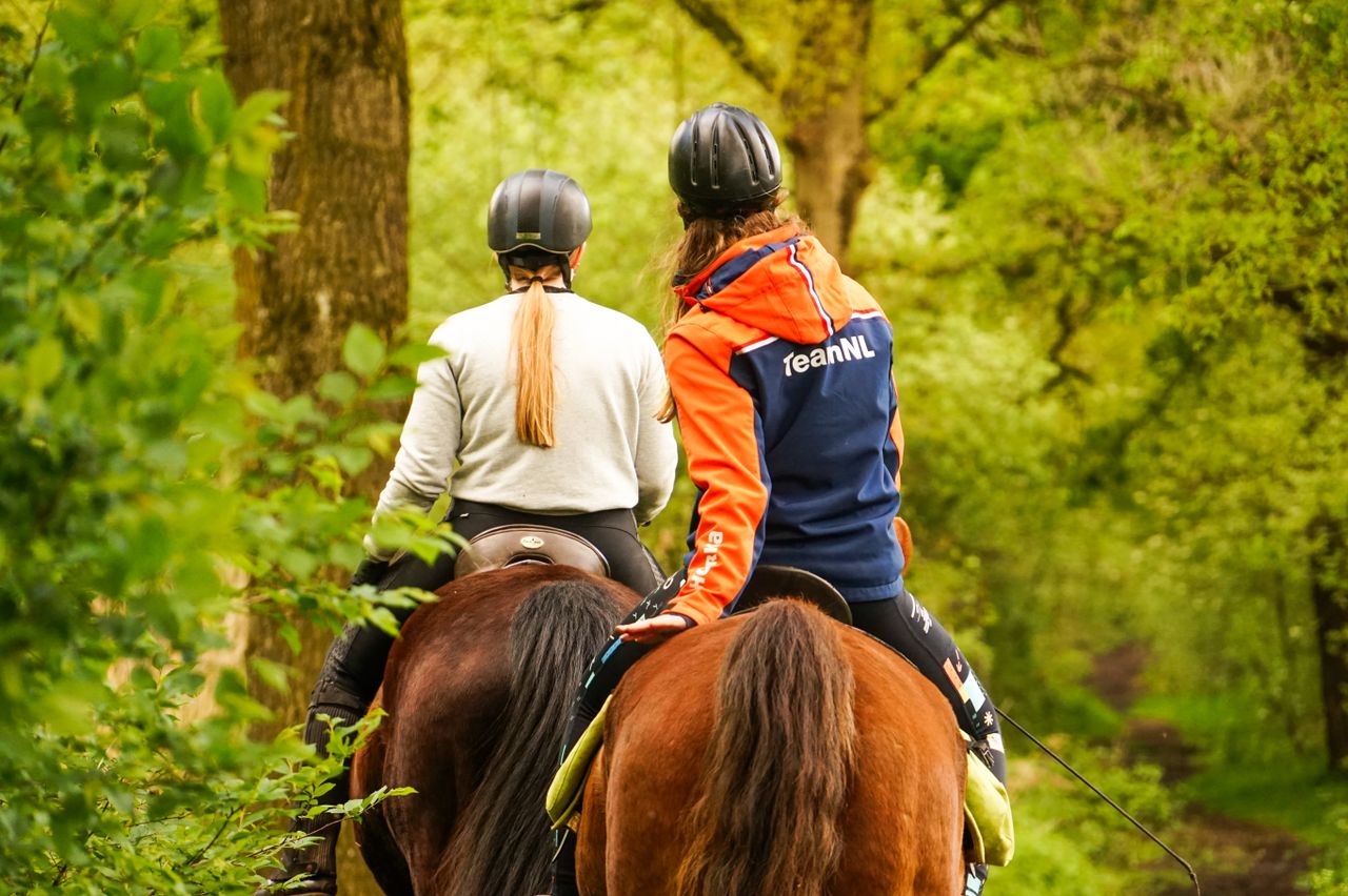 Two equestrians ride horses through a verdant forest path, enjoying a spring day outdoors.