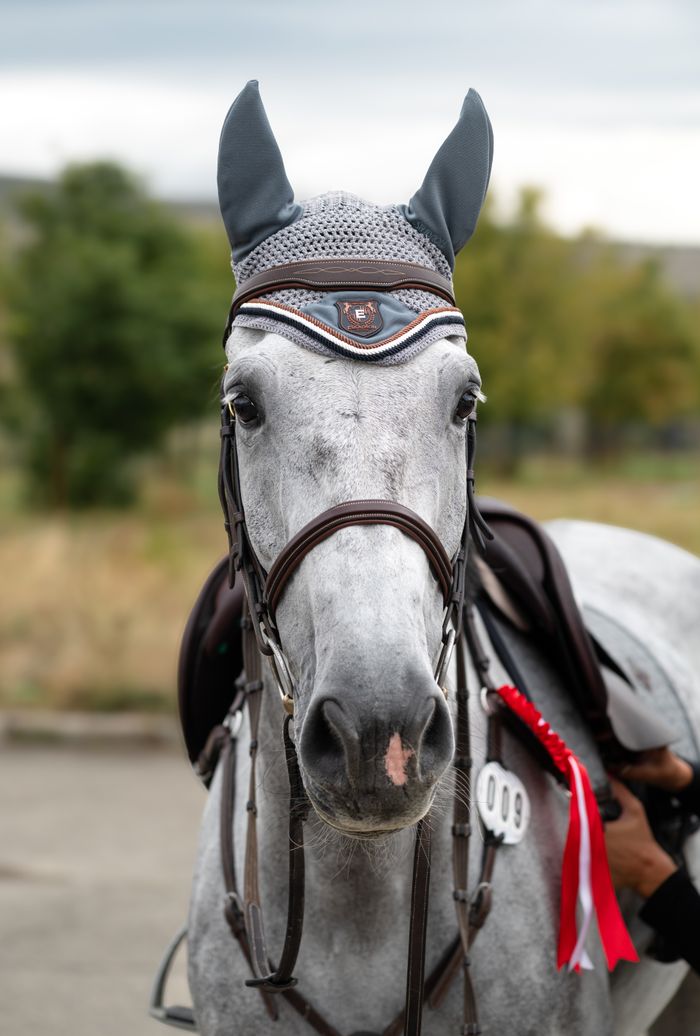 A gray horse wearing tack and ear bonnet, standing outdoors in a natural setting.