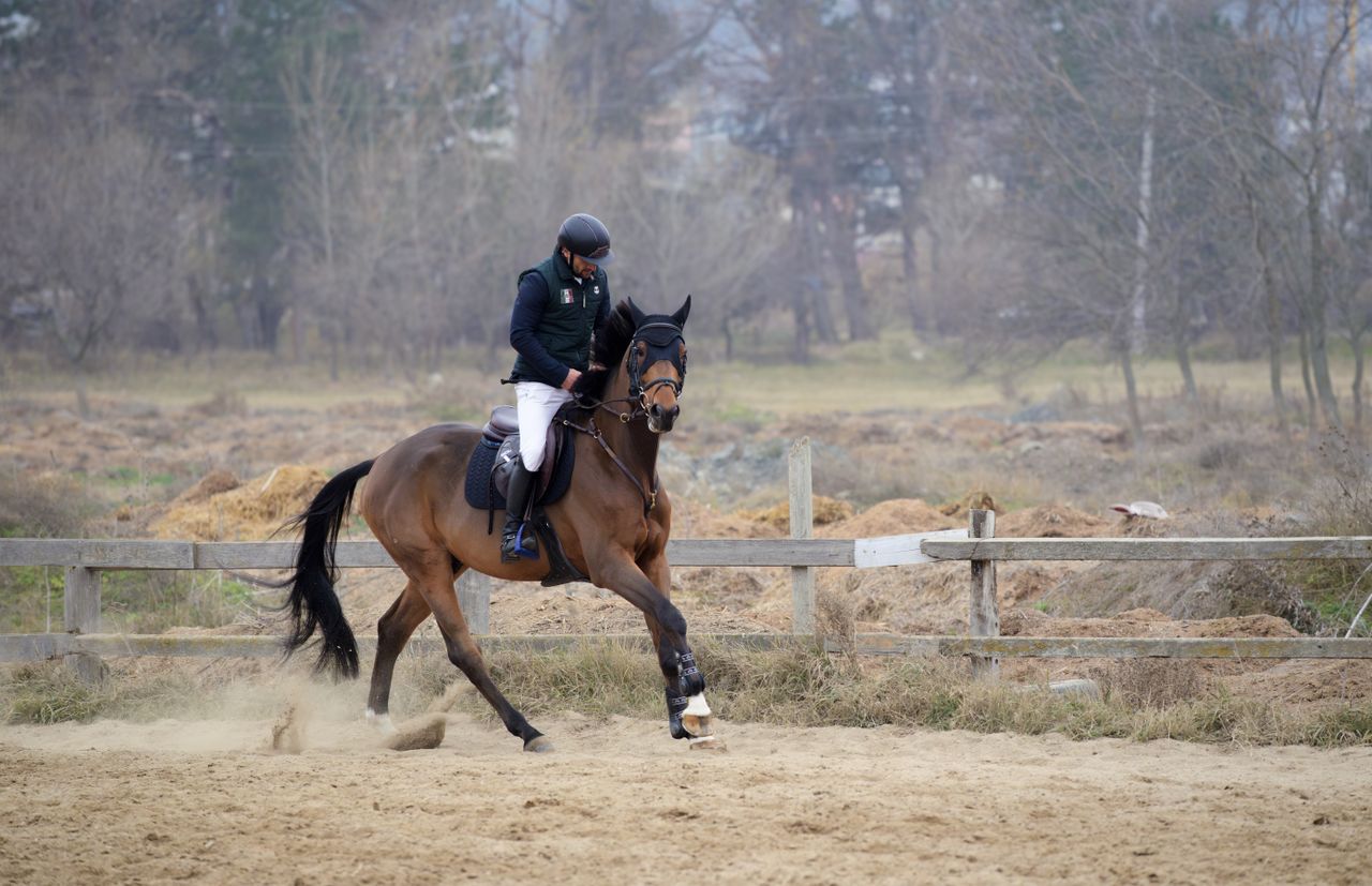 A professional equestrian rides a brown horse in an outdoor training area, showcasing skill and control.