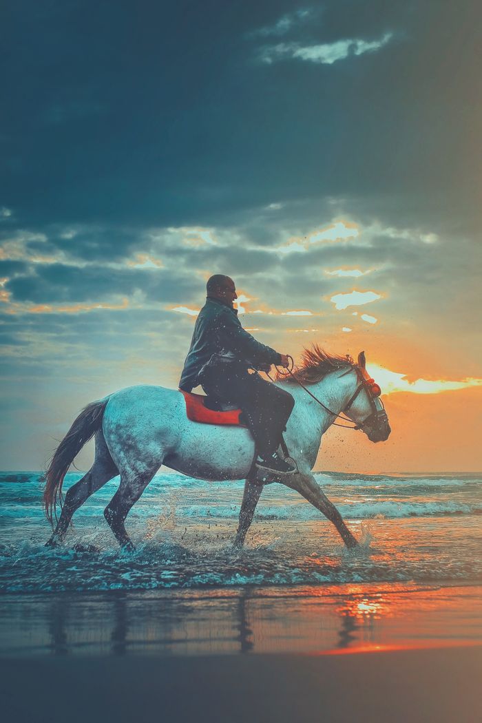 Side view of anonymous male traveler riding horse on sandy beach of wavy ocean against cloudy sunset sky