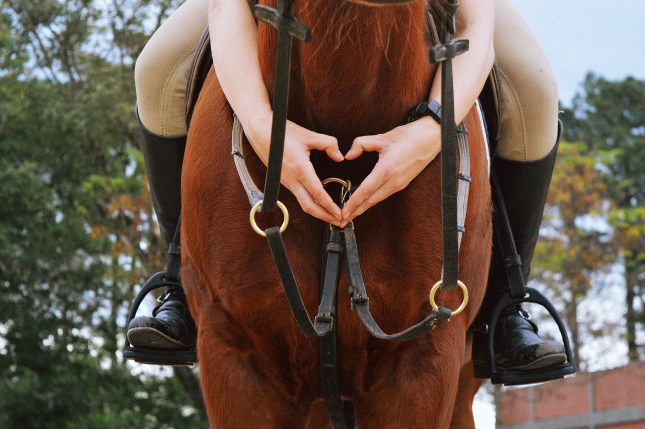 Close-up of an equestrian rider forming a heart shape with hands on a horse outdoors.